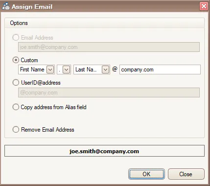 Assign Email dialog with five address options and a custom-address preview.