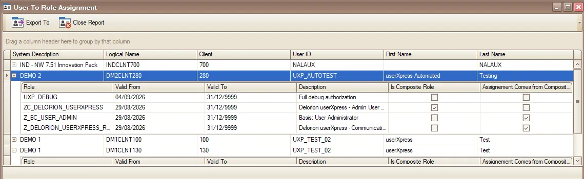 User To Role Assignment report with expanded roles and validity dates.