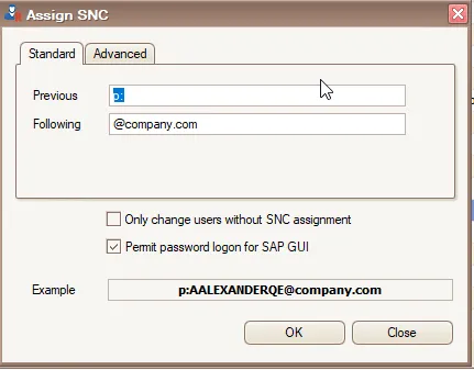 Standard SNC assignment with prefix, suffix and generated-name preview.
